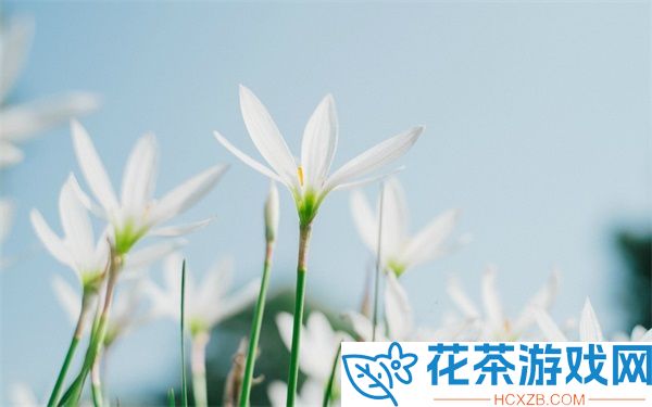 精准灌溉系统HPC（蜜丸）